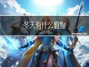 冬天有什么值物