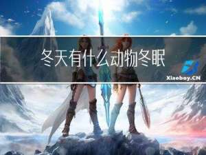 冬天有什么动物冬眠