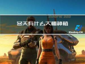 冬天有什么大棚种植