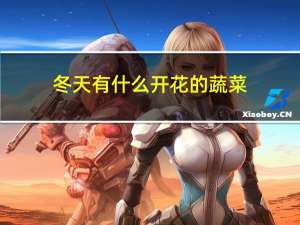 冬天有什么开花的蔬菜