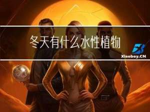 冬天有什么水性植物