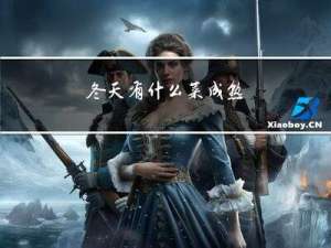 冬天有什么菜成熟