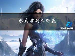冬天有什么野花