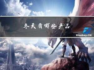 冬天有哪些产品