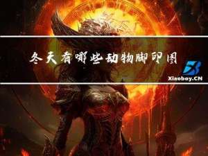 冬天有哪些动物脚印图片
