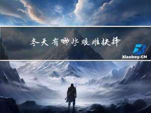 冬天有哪些艰难抉择