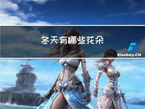 冬天有哪些花朵