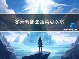 冬天有哪些蔬菜可以水煮