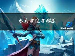 冬天有没有榴莲