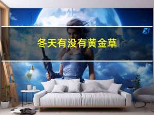 冬天有没有黄金草