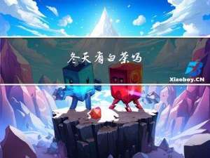 冬天有白茶吗