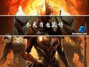 冬天有老鼠吗