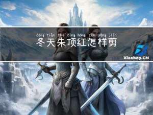 冬天朱顶红怎样剪