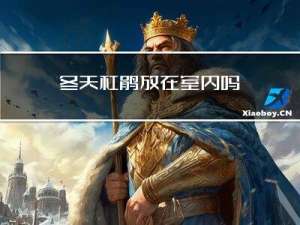 冬天杜鹃放在室内吗