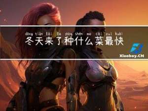 冬天来了种什么菜最快