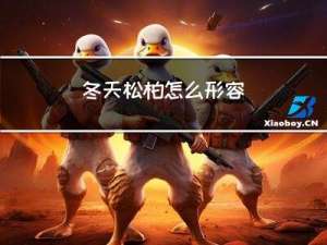 冬天松柏怎么形容