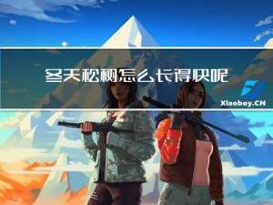 冬天松树怎么长得快呢