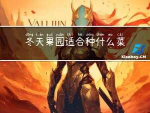 冬天果园适合种什么菜