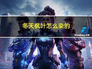 冬天枫叶怎么染的