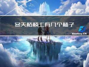 冬天枯枝上有几个柿子