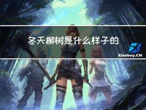 冬天柳树是什么样子的