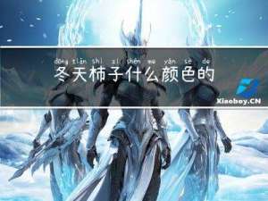 冬天柿子什么颜色的