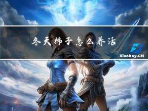 冬天柿子怎么养活