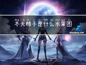 冬天柿子是什么水果图片