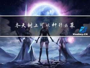 冬天树上可以种什么菜