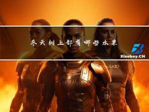 冬天树上都有哪些水果吃