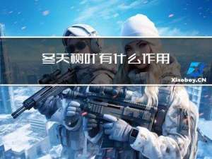 冬天树叶有什么作用