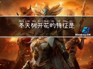 冬天树开花的特征是