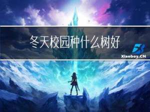 冬天校园种什么树好