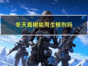 冬天栽树能用生根剂吗