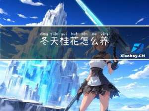 冬天桂花怎么养