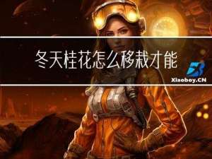 冬天桂花怎么移栽才能活