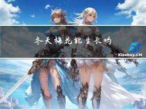 冬天梅花能生长吗