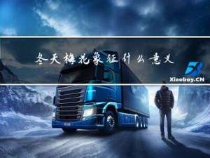 冬天梅花象征什么意义