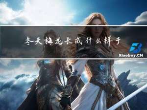 冬天梅花长成什么样子