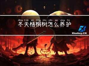 冬天梧桐树怎么养护