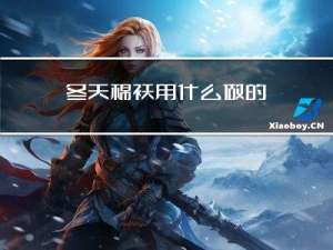 冬天棉袄用什么做的