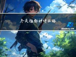 冬天植物种什么好