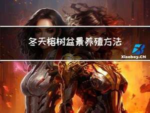 冬天榕树盆景养殖方法视频