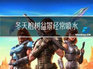 冬天榕树盆景经常喷水好吗