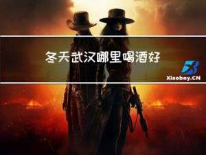 冬天武汉哪里喝酒好