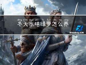 冬天水培绿萝怎么养
