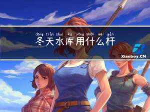 冬天水库用什么杆