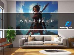 冬天水浇什么花好