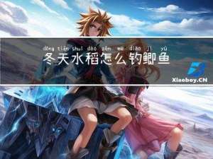 冬天水稻怎么钓鲫鱼