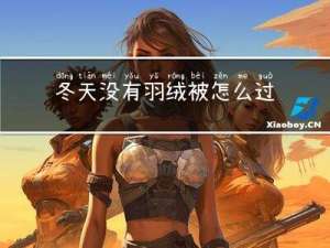 冬天没有羽绒被怎么过年